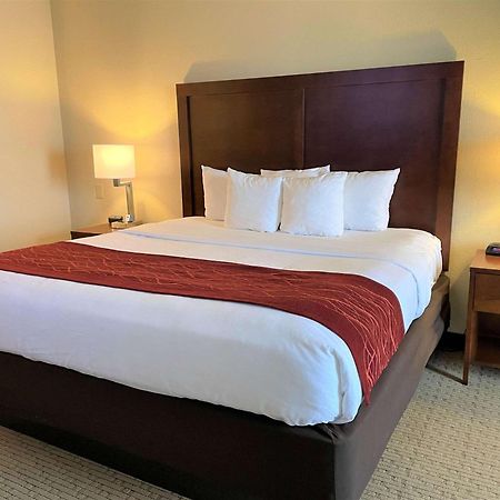 Comfort Inn & Suites Rogersville Esterno foto