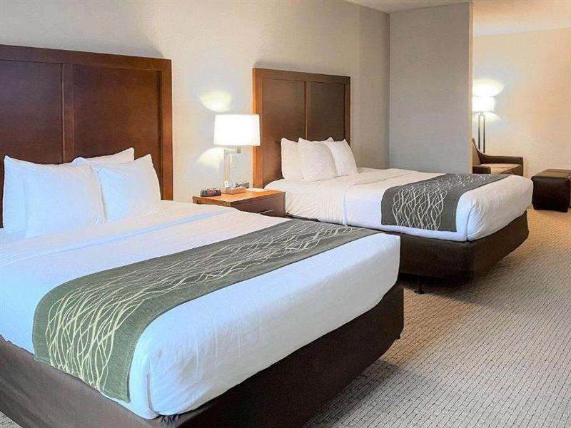 Comfort Inn & Suites Rogersville Esterno foto