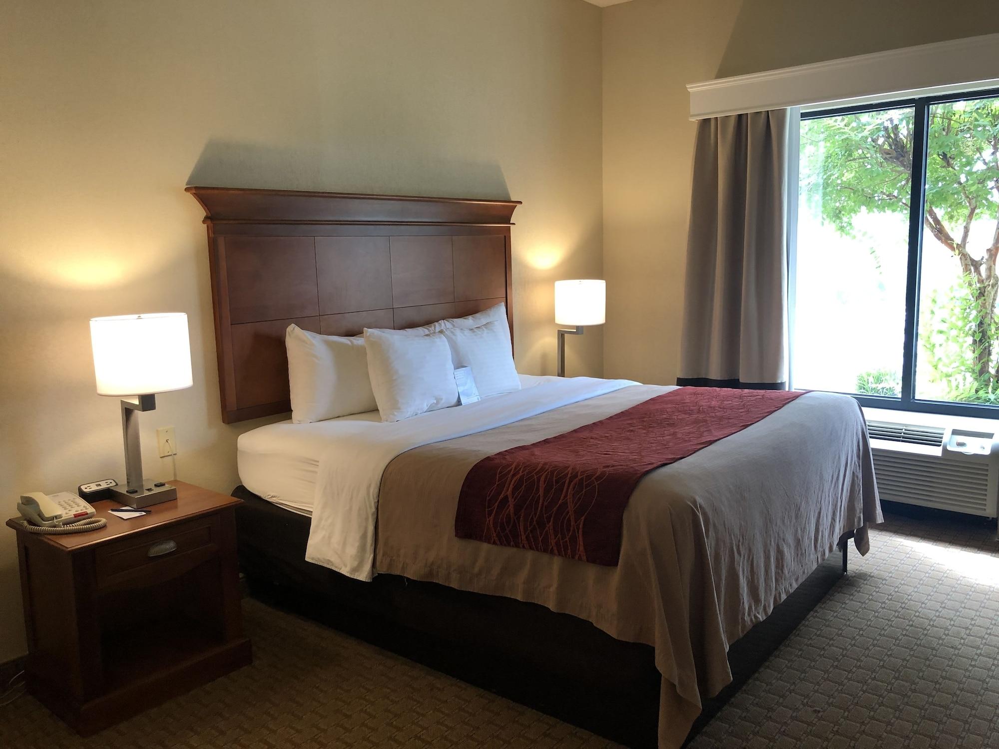Comfort Inn & Suites Rogersville Esterno foto