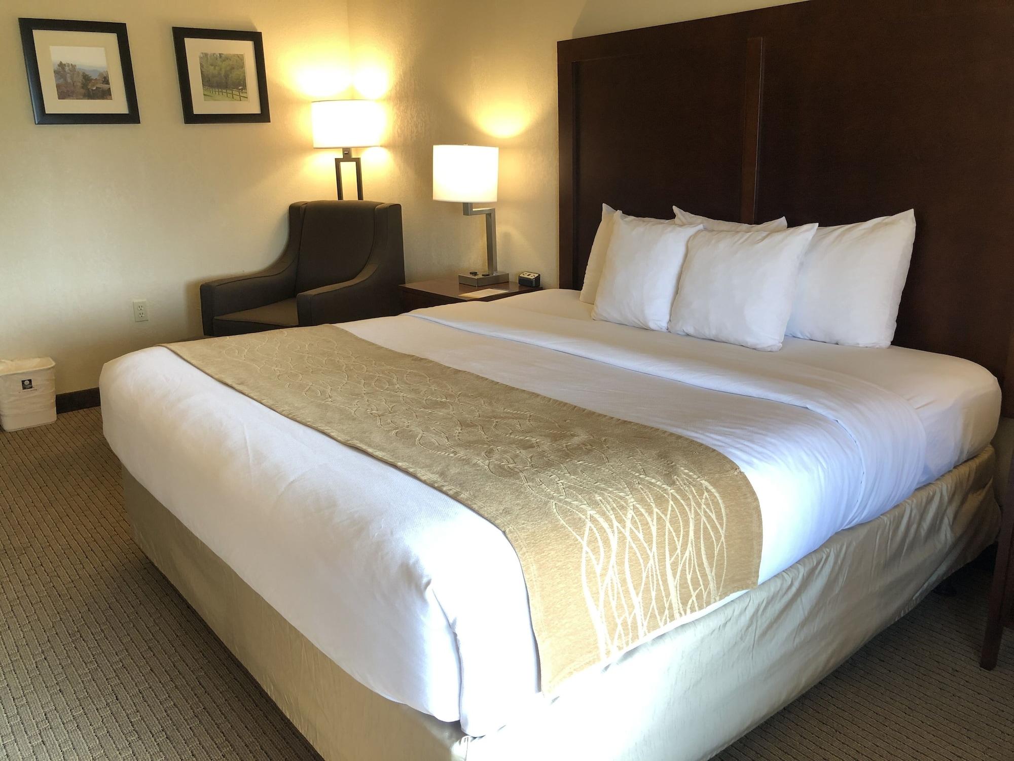 Comfort Inn & Suites Rogersville Esterno foto