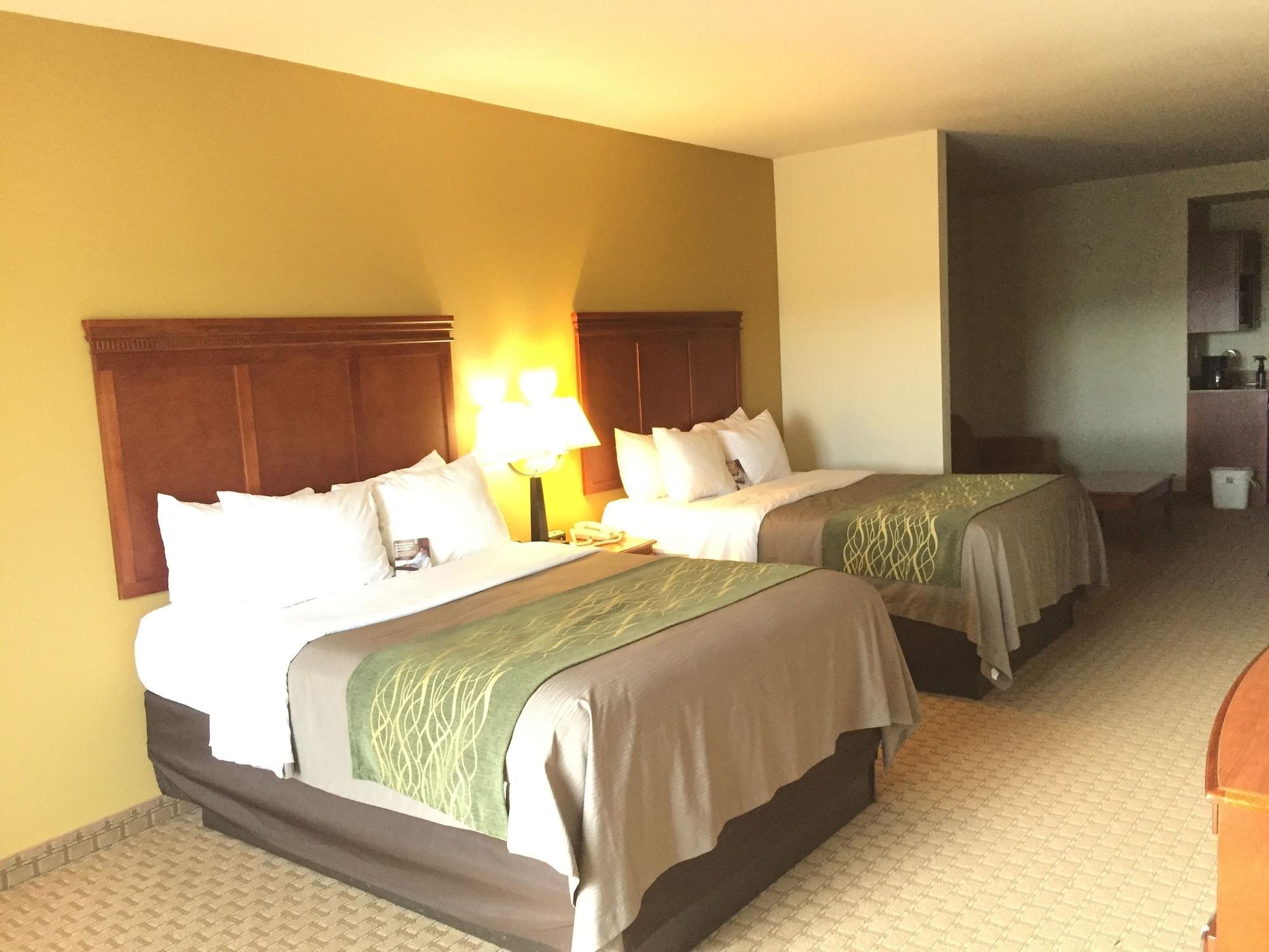 Comfort Inn & Suites Rogersville Esterno foto