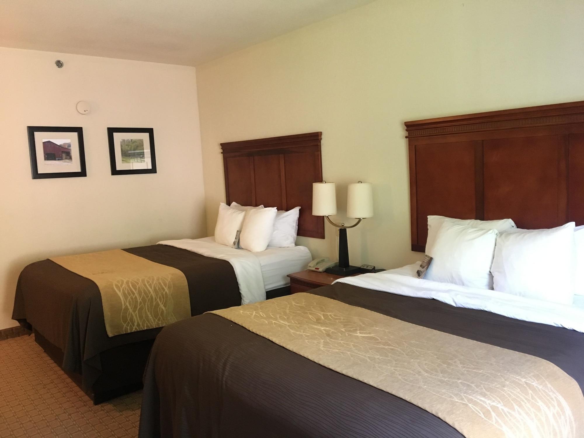 Comfort Inn & Suites Rogersville Esterno foto