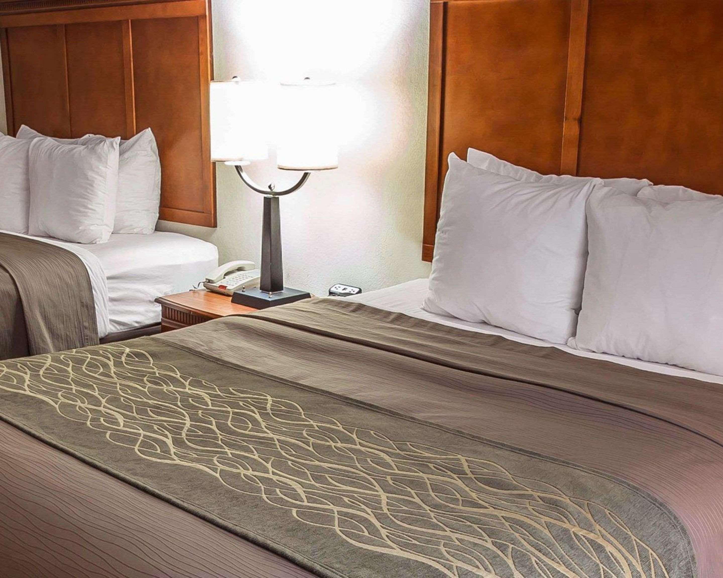 Comfort Inn & Suites Rogersville Esterno foto
