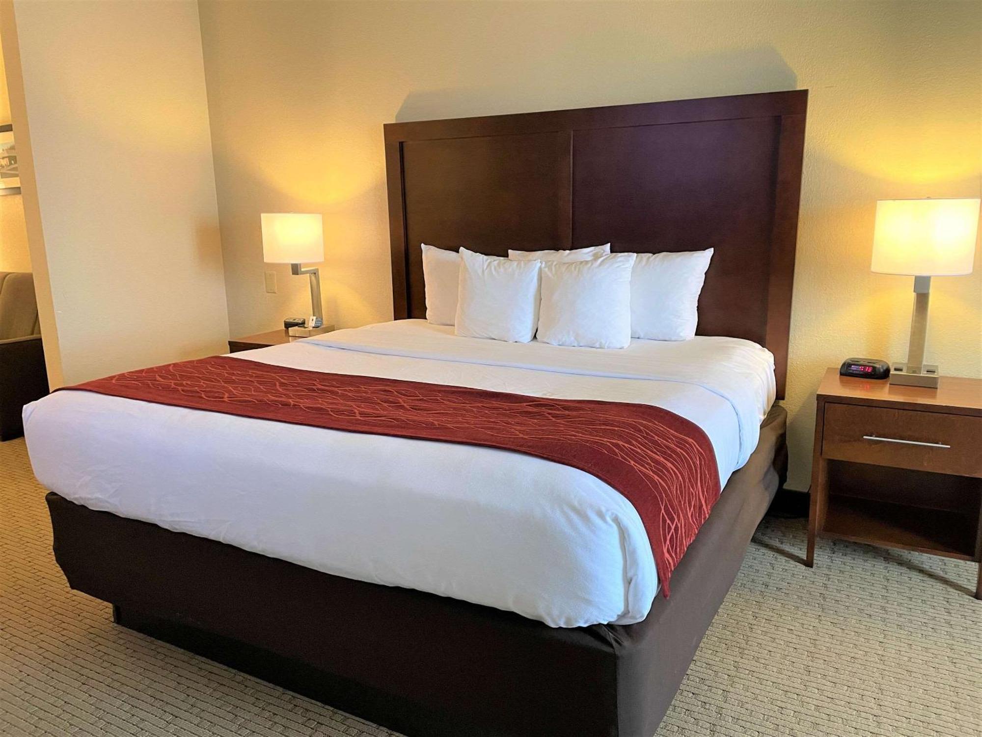 Comfort Inn & Suites Rogersville Esterno foto