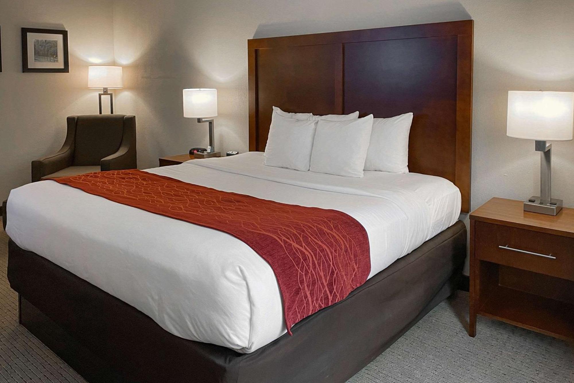Comfort Inn & Suites Rogersville Esterno foto